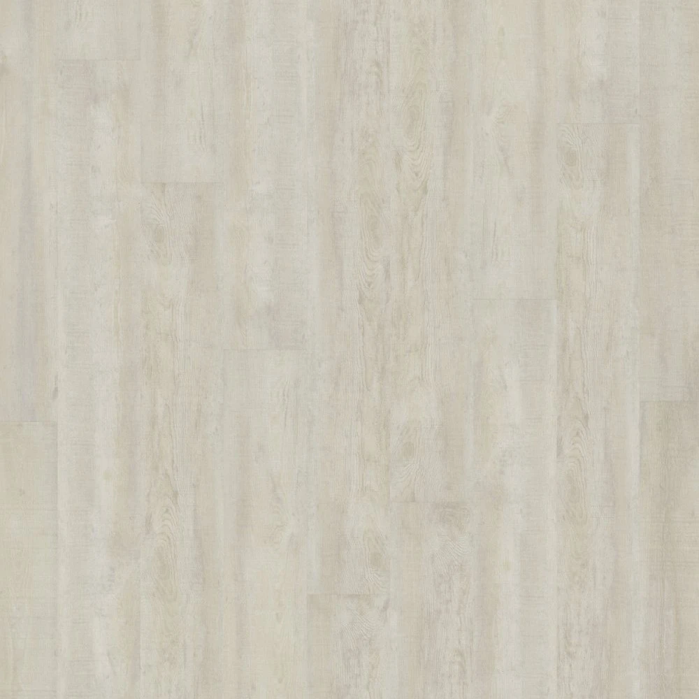 Sky oak Sky oak