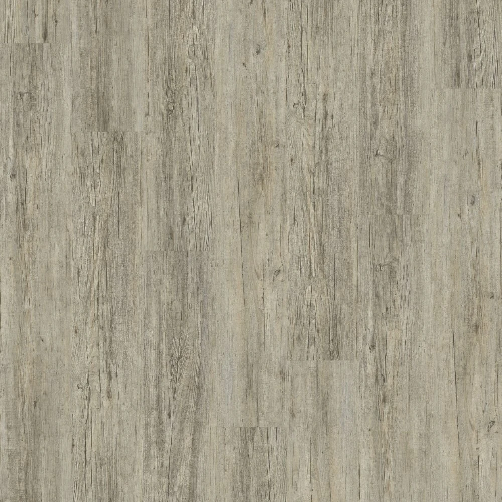Grey pine Grey pine
