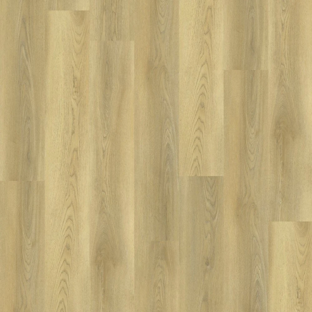 Timeless oak Timeless oak