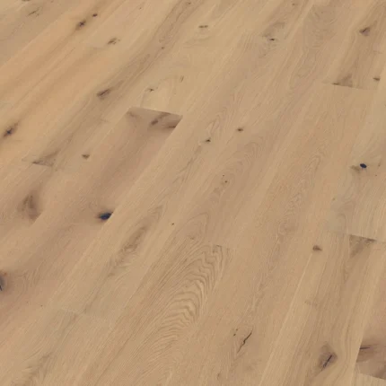 Hrast oljen-surov izgled hrasta