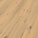 Hrast oljen-surov izgled hrasta