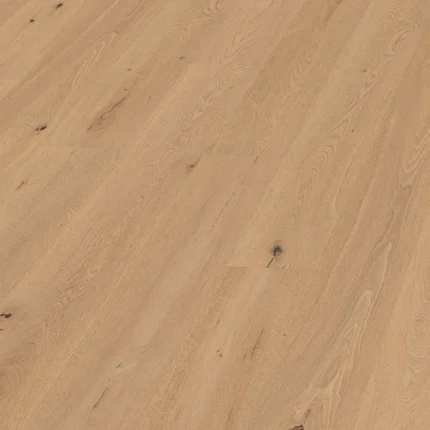 Hrast oljen-surov izgled hrasta