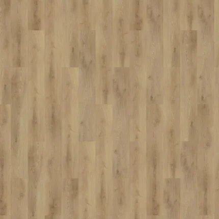 Colton - Tyler M Floor