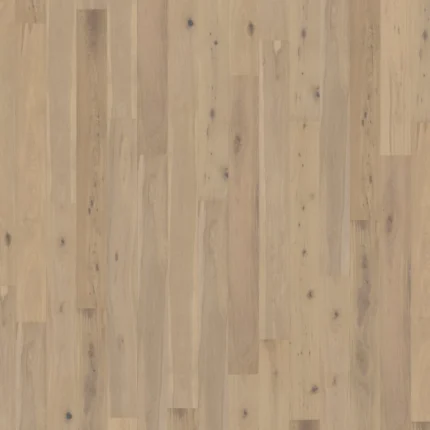 Hrast Manor House - Lumley