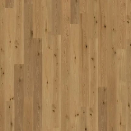 Hrast Manor House - Stanley